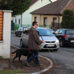 Egy fehérbottal közlekedő férfi éppen a járdáról lép le, mellette pórázon a kutyája.